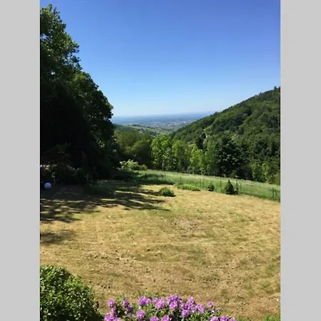 Traumhafte Lage Und Fantastischer Ausblick! Atemberaubendes Dach-studio.