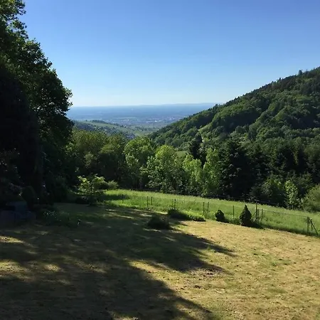 Traumhafte Lage Und Fantastischer Ausblick! Atemberaubendes Dach-studio. * Bühlertal