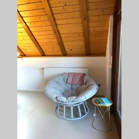 Traumhafte Lage Und Fantastischer Ausblick! Atemberaubendes Dach-studio. Bühlertal