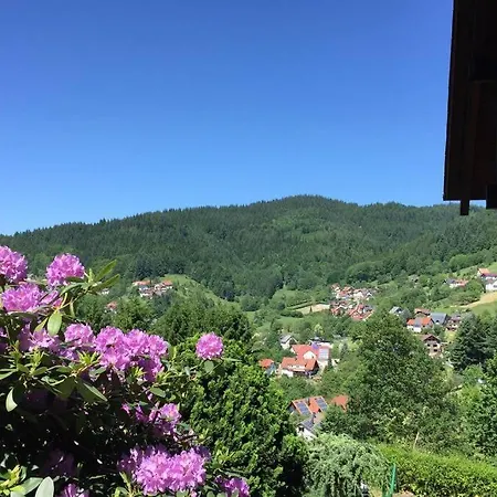 Traumhafte Lage Und Fantastischer Ausblick! Atemberaubendes Dach-studio. Apartmán *