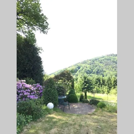 Apartmán Traumhafte Lage Und Fantastischer Ausblick! Atemberaubendes Dach-studio.