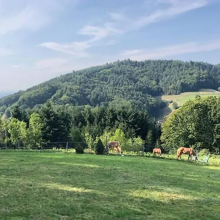 Apartmán Traumhafte Lage Und Fantastischer Ausblick! Atemberaubendes Dach-studio. *