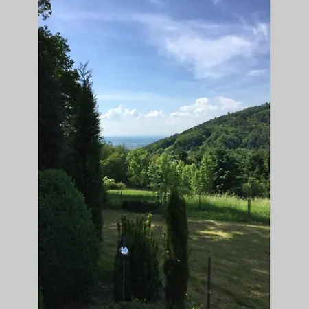 Traumhafte Lage Und Fantastischer Ausblick! Atemberaubendes Dach-studio. Bühlertal