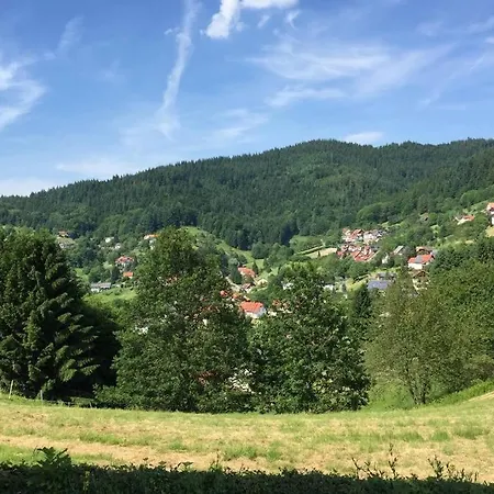 Traumhafte Lage Und Fantastischer Ausblick! Atemberaubendes Dach-studio. Apartmán Bühlertal