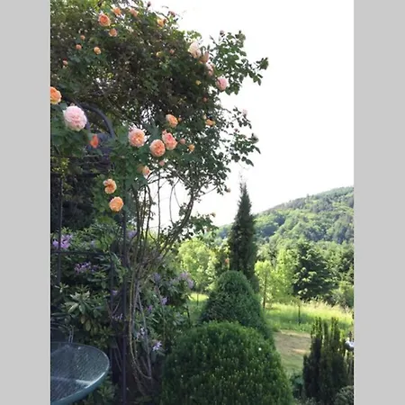 Traumhafte Lage Und Fantastischer Ausblick! Atemberaubendes Dach-studio. Bühlertal